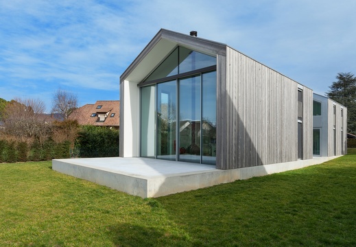 JAF zszarzale drewno (3)