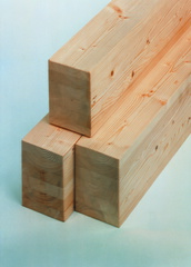 Brettschichtholz mosser