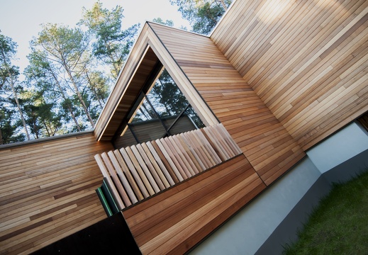 JAF Elewacja olej (1)