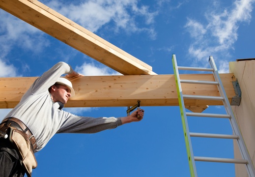 JAF Albo BSH albo wcale (1)