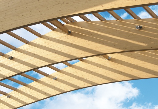 JAF Albo BSH albo wcale (2)