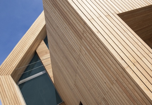 JAF Daj drewnu odetchanc (1)