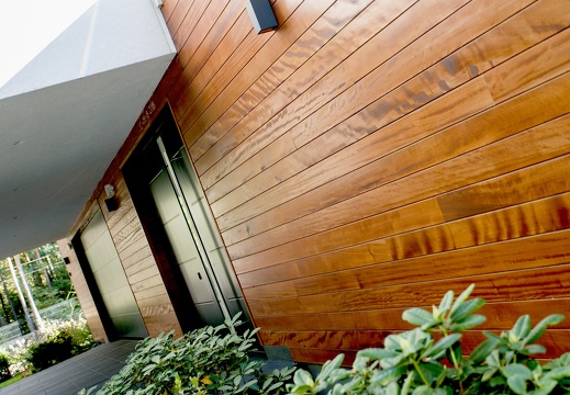 JAF Daj drewnu odetchanc (2)