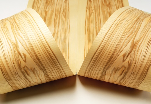 JAF O wyzszosci fornirow (1)