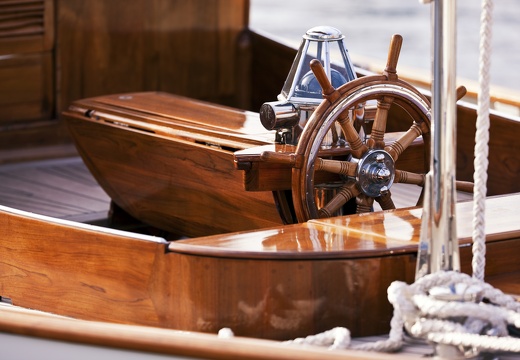 JAF Stare drzewo i morze (1)