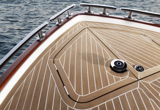 JAF Stare drzewo i morze (2)