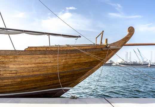 JAF Stare drzewo i morze (4)