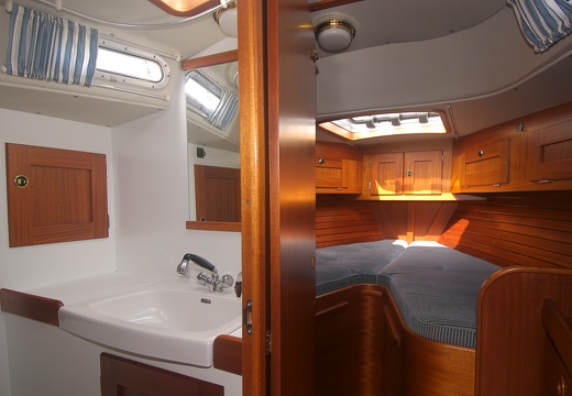 JAF Stare drzewo i morze (5)