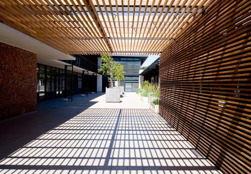 JAF Ogrod pod dachem (2)