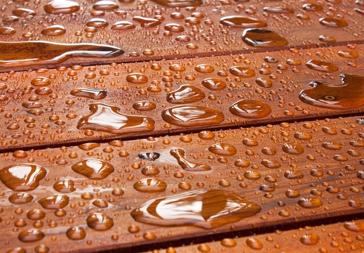 JAF Solidne podstawy 10