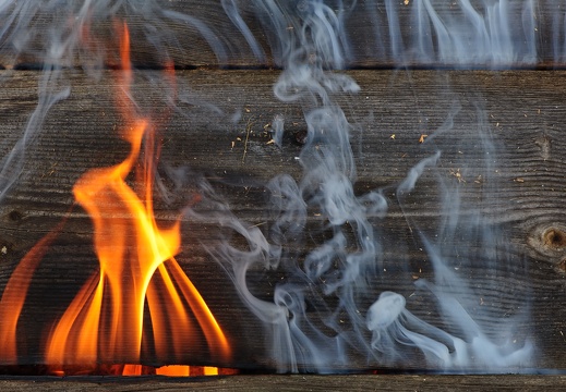 JAF Przezorny zawsze ubezpieczony (3)