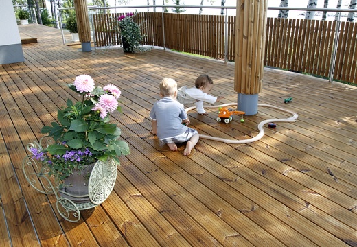 JAF Z mysla o najmlodszych thermososna 1