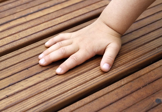 JAF Z mysla o najmlodszych thermososna 2