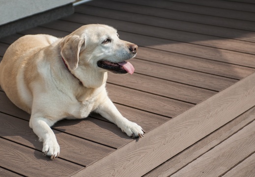 JAF Wiosenna konserwacja tarasu z drewna (2)