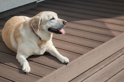 JAF Naturalny i nowoczesny taras kompozytowy (1)