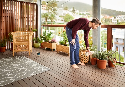 JAF wiosenne porzadki (2)