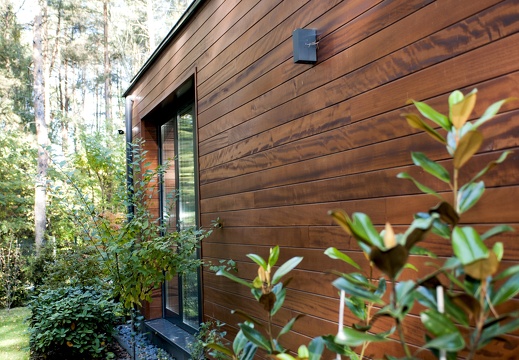 JAF Egzotyczne wakacje na tarasie (2) OKOUME