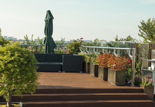 JAF Bambusowa rewolucja (3)