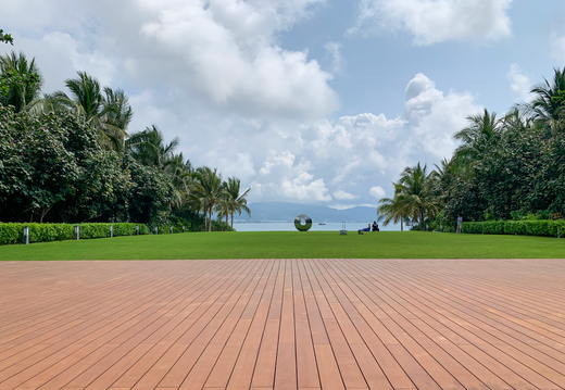 JAF Bambusowy hit sezonu Dasso CTECH (1)