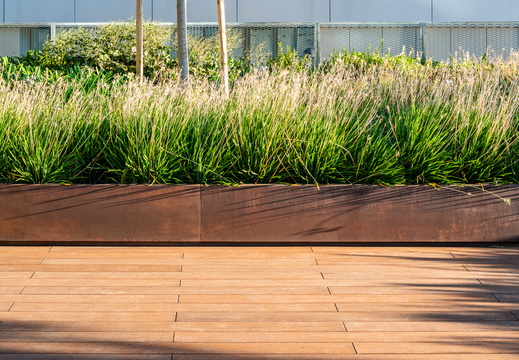 JAF Bambusowy hit sezonu Dasso CTECH (4)