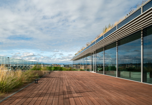 JAF Bambusowy hit sezonu Dasso CTECH (5)