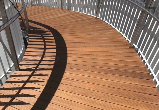 JAF Bambusowy hit sezonu Dasso CTECH (6)