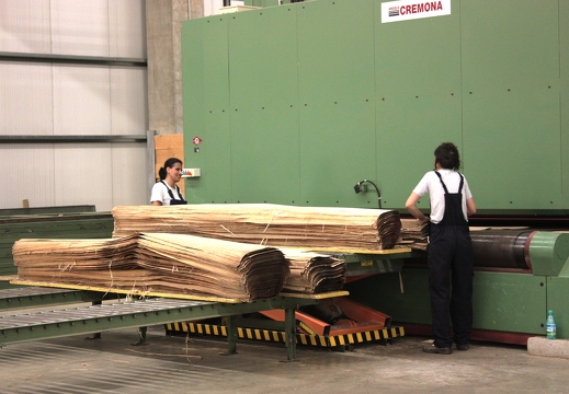 JAF PL Fornir gora (6)