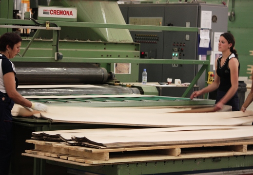 JAF PL Fornir gora (7)