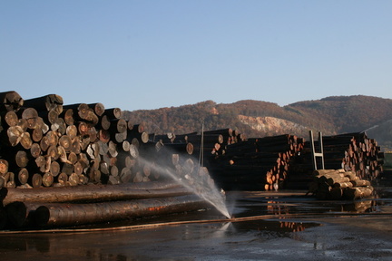 JAF PL Fornir gora (8)